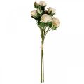Floristik24 Deco Roses Cream Dirbtinės rožės Šilkinės gėlės 50cm 3vnt