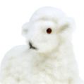 Floristik24 Dekoratyvinės avytės bandomos 15cm baltos 3vnt