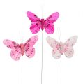 Floristik24 Deco butterfly rožinė-rožinė rūšis. 6cm 24vnt