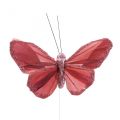 Floristik24 Deco drugelis ant vielos plunksnos drugelis rožinis 10×6cm 12vnt