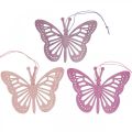 Floristik24 Deco butterflies deco kabykla violetinė/rožinė/rožinė 12cm 12vnt