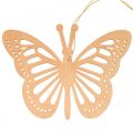 Deco drugeliai deko kabykla oranžinė/rožinė/geltona 12cm 12vnt