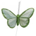 Floristik24 Dekoratyviniai drugeliai žali plunksniniai drugeliai ant vielos 10cm 12vnt