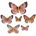 Floristik24 Deko drugeliai su segtuku B4,5–11,5cm 10vnt rudos oranžinės spalvos
