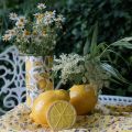 Floristik24 Dekoratyvinė citrinų keramikos vasaros dekoravimo stalo puošmena 11cm