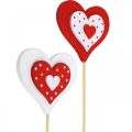 Floristik24 Dekoratyvinė kištuko širdelė, vestuvių puošmena, gėlių puošmena Valentino dienai, širdelių puošmena 18vnt