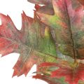 Deko šaka rudens deko lapai ąžuolo lapai raudoni, žali 100cm