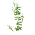 Floristik24 Dekoratyvinė šakelė vikio šakelė dirbtinis augalas žalias 94cm
