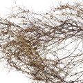 Floristik24 Deco šakelės Iron Bush šakelės natūrali apdaila medis gamta 250g