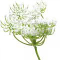Žydi krapai, dirbtinis augalas, dirbtinės žolelės žalia, balta L80cm