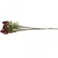 Floristik24 Dirbtinė erškėtis raudona bordo gėlė, 10 gėlių galvučių, 68 cm, 3 vnt.