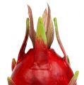 Floristik24 Drakono vaisius 15cm raudonas 1vnt