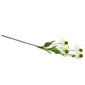 Floristik24 Ežiuolės gėlė dirbtinė balta 90cm