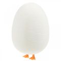 Floristik24 Dekoratyvinis kiaušinis su kojelėmis Velykinis kiaušinių kremas Juokingas Velykų papuošimas H13cm 4vnt