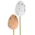 Floristik24 Dirbtiniai putpelių kiaušiniai ant pagaliuko deko kiaušinis Velykų puošmena 4cm 18vnt