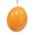 Floristik24 Kiaušinis pakabinti žaliai oranžinis 6cm 12vnt