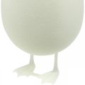 Floristik24 Dekoratyvinis kiaušinis su kojelėmis Velykų kiaušinio baltymas Stalo puošmena Velykinė figūra H25cm