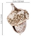 Gilės, natūralus produktas dekoravimui, baltai nubalintos, 1-3 cm, 300 g | Floristik24.lt