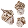 Gilės, natūralus produktas dekoravimui, baltai nubalintos, 1-3 cm, 300 g | Floristik24.lt