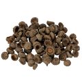 Floristik24 Natūralūs gilių kepurėlės, dekoratyviniai dubenėliai rudeniui ir Adventui, 2 cm, 300 g