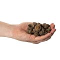 Natūralūs gilių kepurėlės, dekoratyviniai dubenėliai rudeniui ir Adventui, 2 cm, 300 g | Floristik24.lt