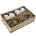 Floristik24 Dekoratyvinis kiaušinių mišinys putpelių kiaušiniai ir vištienos kiaušiniai Išpūsti velykiniai kiaušiniai