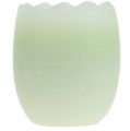 Floristik24 Kiaušinio žvakė žalia 5,5cm 3vnt