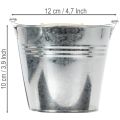 Kibirai Ø12cm A10cm 8vnt. Cinko spalvos, blizgūs | Floristik24.lt