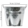 Kibirai Ø14cm A12cm 6 vnt. Cinko spalvos, blizgūs | Floristik24.lt