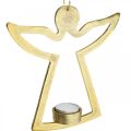 Floristik24 Dekoratyvinis angelas, arbatinės žvakidės laikiklis pakabinti, metalinė apdaila auksinė H20cm