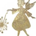Floristik24 Dekoratyvinis angelas su kiaulpiene, Advento puošmena iš metalo, Kalėdų angelas auksinis antikvarinis vaizdas H21cm