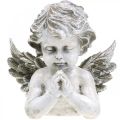 Floristik24 Meldžiantis angelas, laidotuvių floristika, angelo figūros biustas, kapo puošmena A19cm P19.5cm