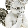 Floristik24 Meldžiantis angelas, laidotuvių floristika, angelo figūros biustas, kapo puošmena A19cm P19.5cm