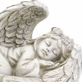 Floristik24 Deco angelas miegamasis 18cm x 8cm x 10cm