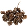 Floristik24 Alksnio kankorėžiai, natūralus produktas dekoravimui ir rankdarbiams, aukso spalvos, 3 cm, 300 g