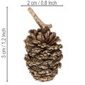 Alksnio kankorėžiai, natūralus produktas dekoravimui ir rankdarbiams, aukso spalvos, 3 cm, 300 g | Floristik24.lt