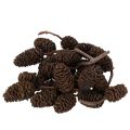 Floristik24 Natūralūs alksnio kankorėžiai, palaidi, dekoravimui, 3 cm, 300 g, natūraliai rudi.
