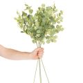 Dirbtinė eukalipto šakelė su apvaliais lapais, 75 cm, 4 vnt. | Floristik24.lt