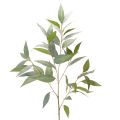 Floristik24 Dirbtinė eukalipto šakelė, natūraliai žalia, dekoracija, 100 cm