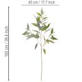 Dirbtinė eukalipto šakelė, natūraliai žalia, dekoracija, 100 cm | Floristik24.lt