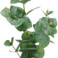 Floristik24 Eukalipto šakelė Dirbtinis žalias augalas Eucalyptus Deco 75cm