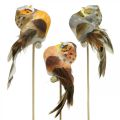 Floristik24 Deco kištukas pelėda, gėlių dekoracija, pelėda su plunksnomis H5,5cm 6vnt