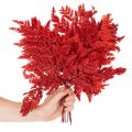Konservuoti ir dažyti paparčio lapai, tikrasis papartis rudens kompozicijoms, 42 cm, 10 vnt. | Floristik24.lt