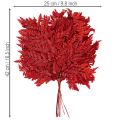 Konservuoti ir dažyti paparčio lapai, tikrasis papartis rudens kompozicijoms, 42 cm, 10 vnt. | Floristik24.lt
