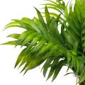 Floristik24 Palmių lapelių palmių puošmena dirbtiniai augalai žalia 30cm 3vnt