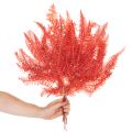Paparčiai, konservuotos džiovintos gėlės, rudens dekoracija, 60 cm, 10 vnt. | Floristik24.lt
