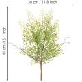 Dirbtinė žalia ruskuso šakelė gėlių dekoravimui, 41 cm | Floristik24.lt
