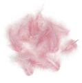 Floristik24 Trumpos plunksnos 30g rožinės spalvos
