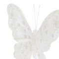 Floristik24 Plunksninis drugelis baltas su žėručiu 11cm 3vnt