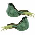 Floristik24 Plunksnos paukštis ant vielos žalias 12cm 4vnt